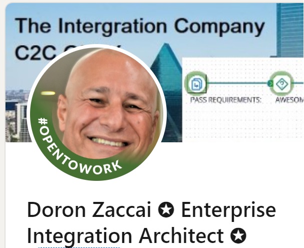 The Integration Company Logo